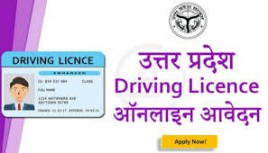 ड्राइविंग लाइसेंस 